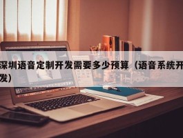 深圳语音定制开发需要多少预算（语音系统开发）