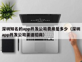 深圳知名的app开发公司费用是多少（深圳app开发公司渠道招商）