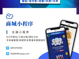 开发个商城分销app要多久(开发个商城分销app要多久才能开通)