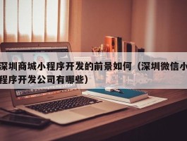 深圳商城小程序开发的前景如何（深圳微信小程序开发公司有哪些）