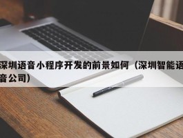 深圳语音小程序开发的前景如何（深圳智能语音公司）